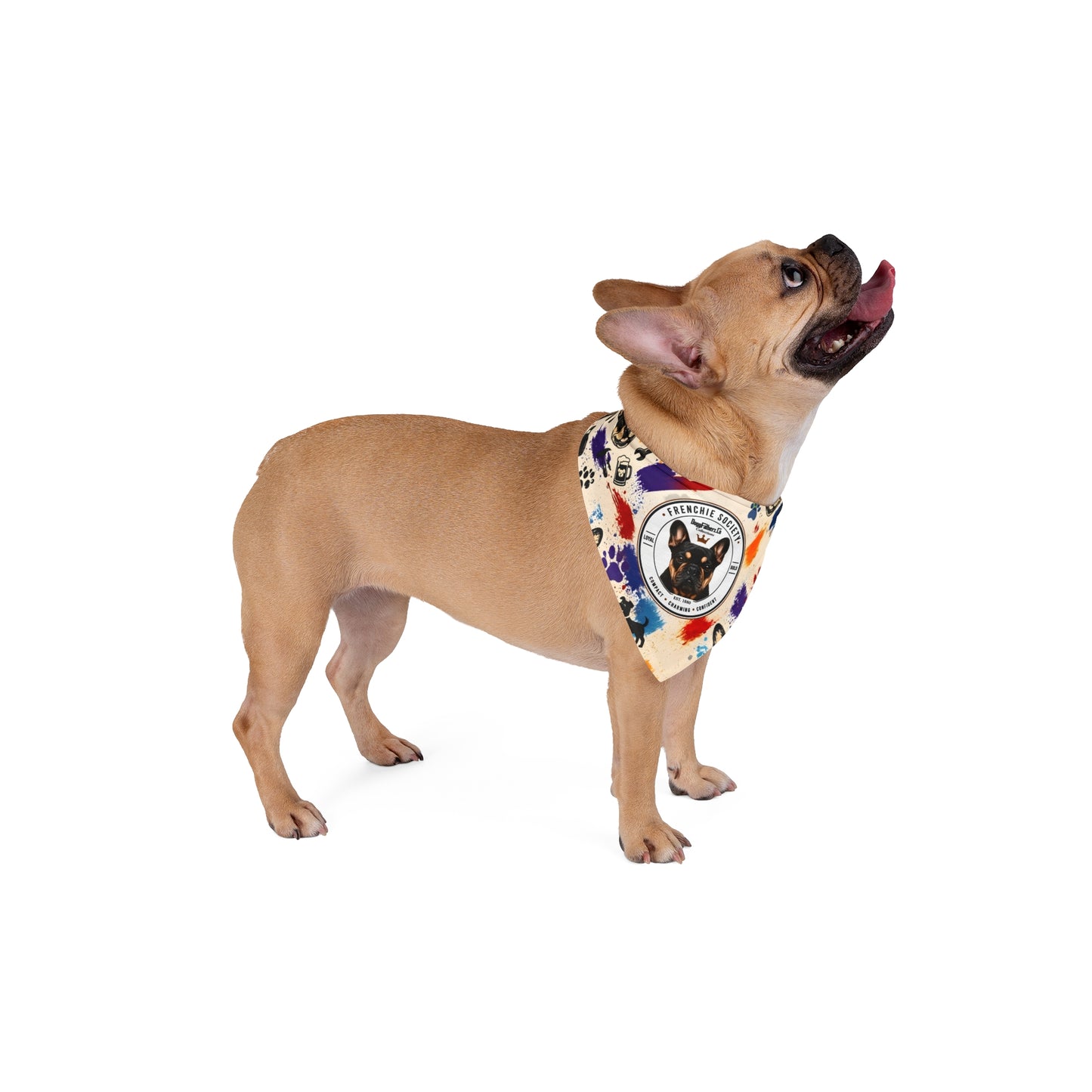 Frenchie Society Pet's Bandana Doodle Pattern