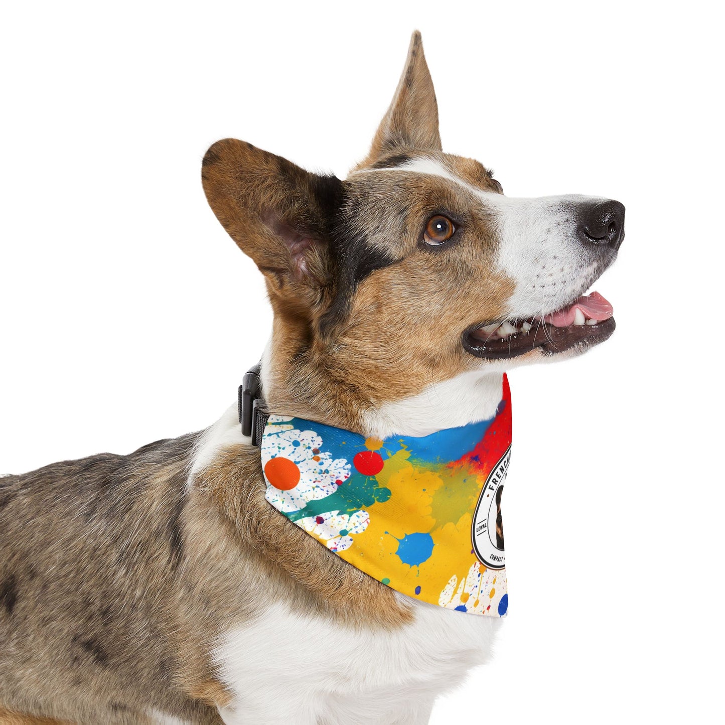 Frenchie Society Paint Splash Pet Bandana Collar XL