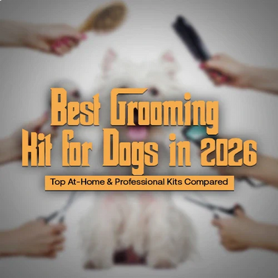 Best Grooming Kit for Dogs in 2026: Top At-Home & Professional Kits Compared