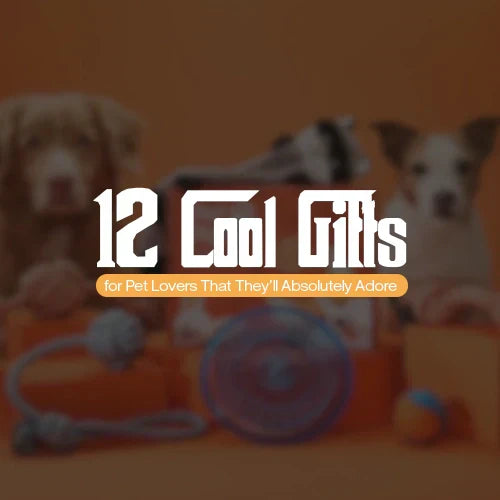 12 Cool Gifts for Pet Lovers That They’ll Absolutely Adore