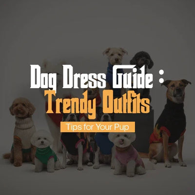 Dog Dress Guide: Trendy Outfits & Tips for Your Pup