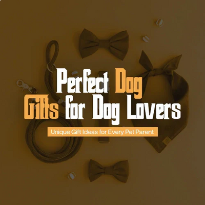 Perfect Dog Gifts for Dog Lovers: Unique Gift Ideas for Every Pet Parent