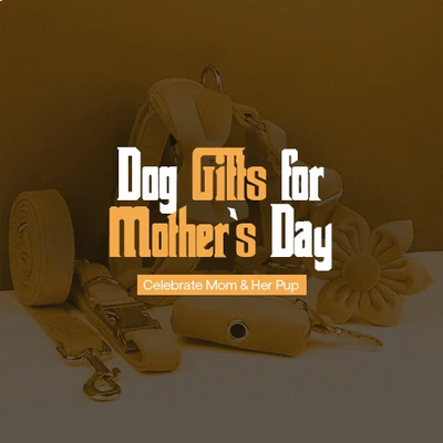 Dog Gifts for Mother's Day: Celebrate Mom & Her Pup