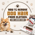 How to Remove Dog Hair From Clothes: Easy Laundry Guide