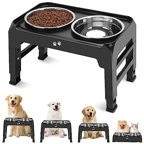 Dog essentials and Accessories