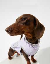 Dog Ultra-thin Vest Raincoat Water And Dirt Resistant Wind Shield