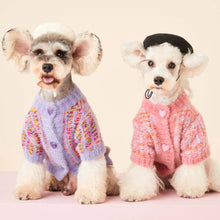 Autumn And Winter Female Dog Colorized Sweater