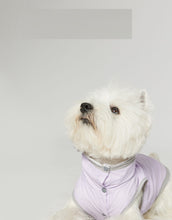 Dog Ultra-thin Vest Raincoat Water And Dirt Resistant Wind Shield