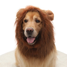 Pet Supplies Dog Wig Lion Head Cover