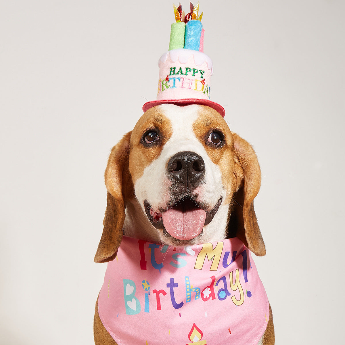 Creative Printing Dog Triangular Binder Birthday  Towel Accessories