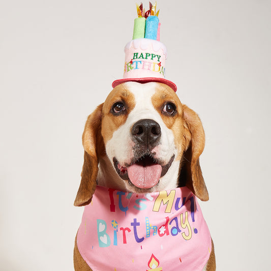 Creative Printing Dog Triangular Binder Birthday  Towel Accessories
