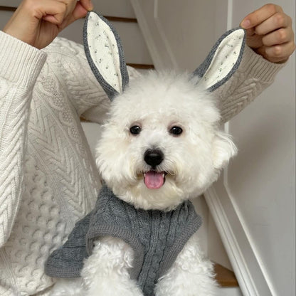 Simple Warm Pet Clothes Cape And Shawl