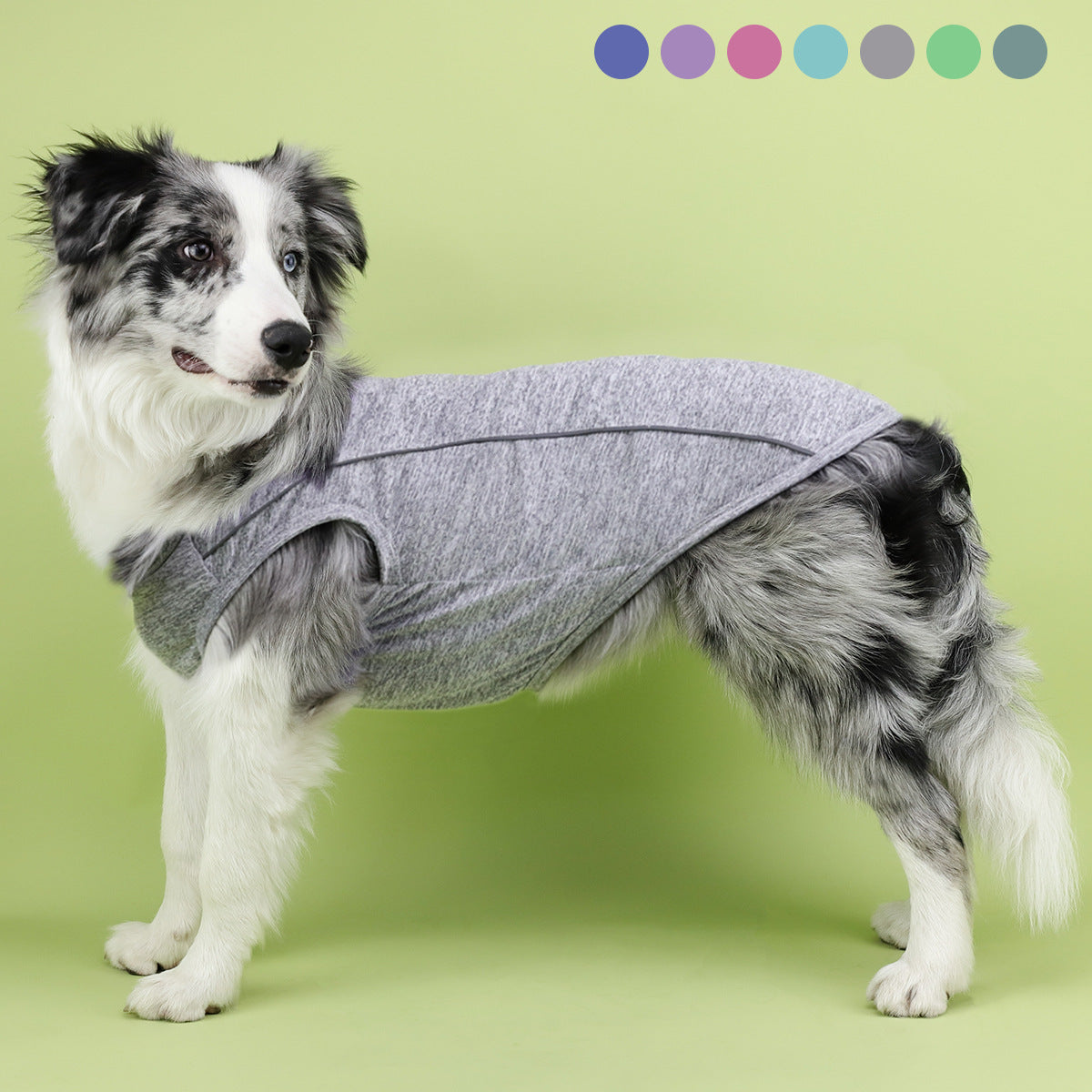 Pomeranian Pug Small Dog Night Reflective Stripe Clothing