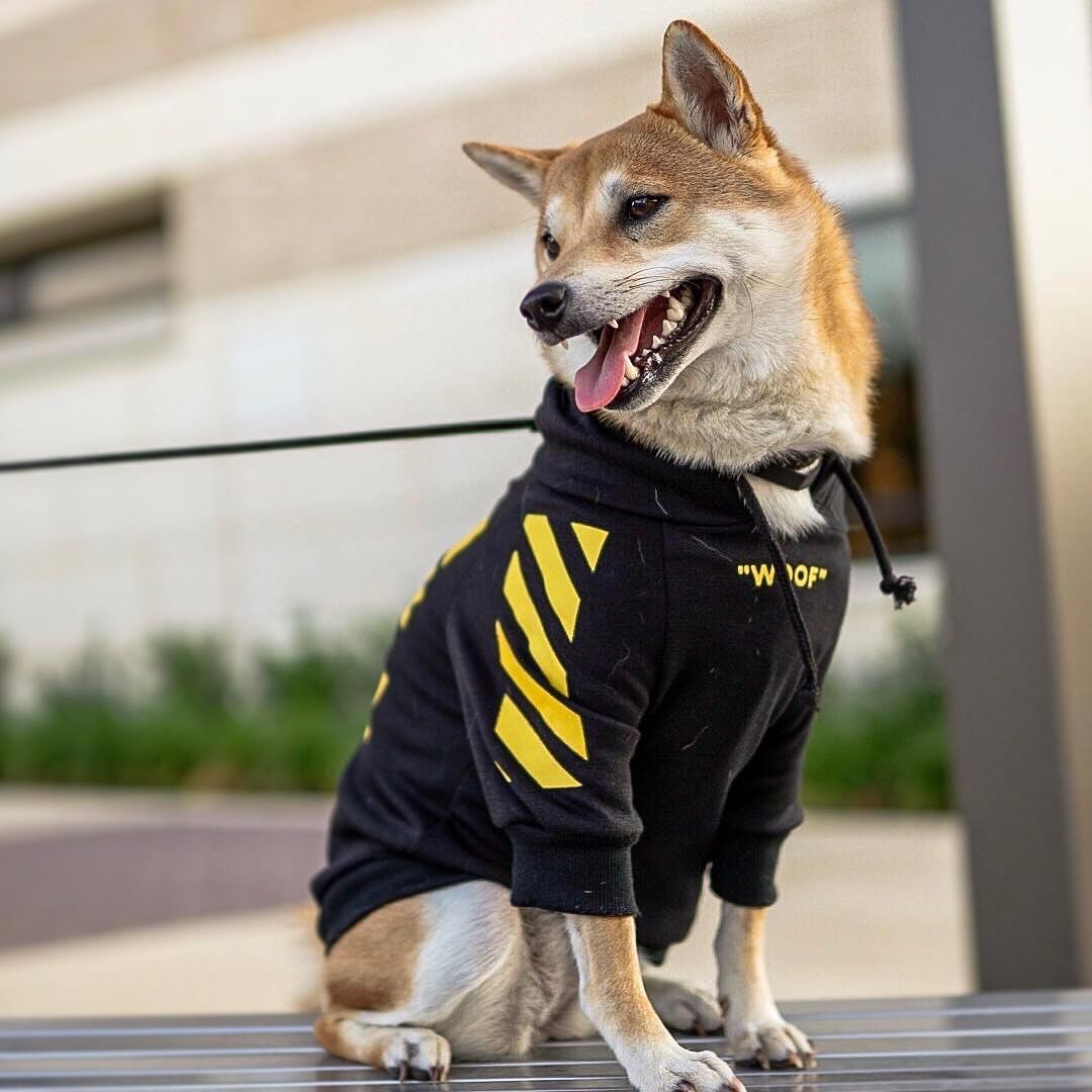 DoggFatherz.Co Three Stripe Street Dog Sweater