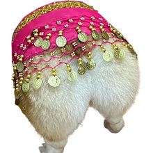 Belly Dance Fart Chain Sequined Waist Chain