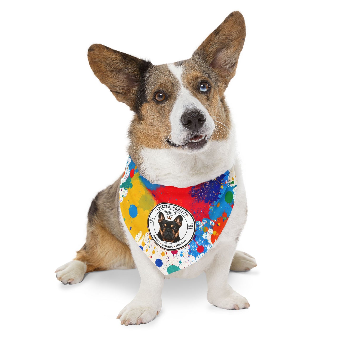 Frenchie Society Paint Splash Pet Bandana Collar XL