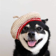 DIY Mini Mixed Color Hand-knitted Beret Cute Pet