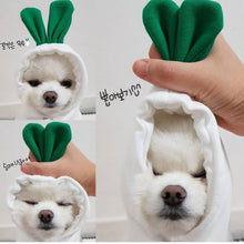 Cute Fruit  Small  Dog Clothes For Winter