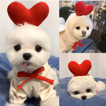Cute Fruit  Small  Dog Clothes For Winter