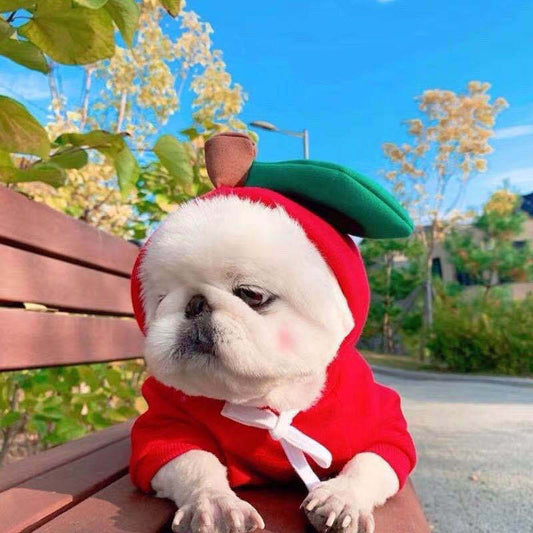 Cute Fruit  Small  Dog Clothes For Winter