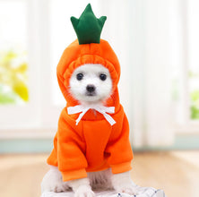 Cute Fruit  Small  Dog Clothes For Winter