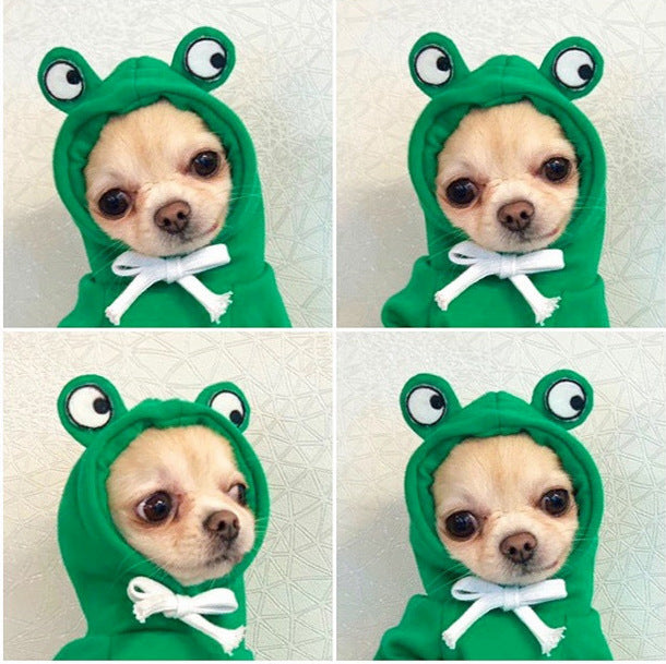 Cute Fruit  Small  Dog Clothes For Winter