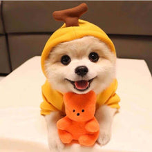 Cute Fruit  Small  Dog Clothes For Winter