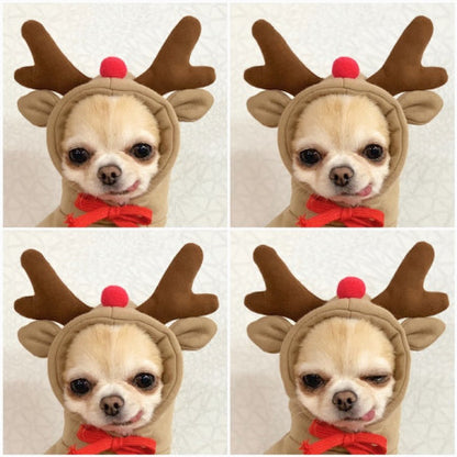 Cute Fruit  Small  Dog Clothes For Winter