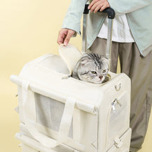 Portable Pet Trolley Double-deck Bag