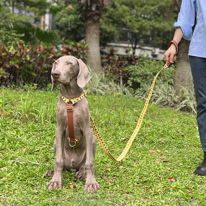 I-shaped Pet Chest Harness Traction Rope