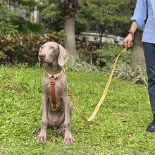 I-shaped Pet Chest Harness Traction Rope