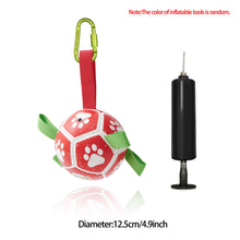 Interactive Dog Football Toy Soccer Ball  Pet Supplies
