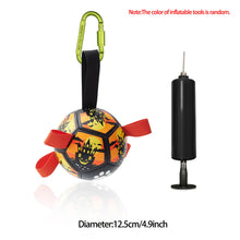 Interactive Dog Football Toy Soccer Ball  Pet Supplies