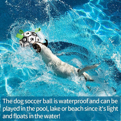 Interactive Dog Football Toy Soccer Ball  Pet Supplies