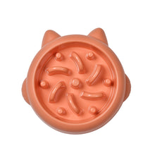 Pet Anti Choking Slow Feeder Dish Bowl