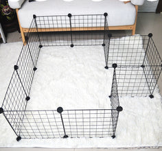 Pet Dog Black Fence