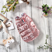 Dog Clothes Pet Two-legged Tide Clothes