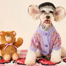 Autumn And Winter Female Dog Colorized Sweater