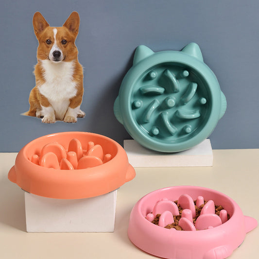 Best Slow Feeder Dog Bowl for Pets and Large Breed Dogs