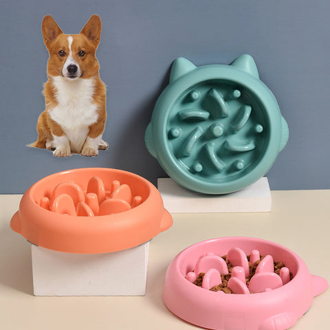 Pet Anti Choking Slow Feeder Dish Bowl