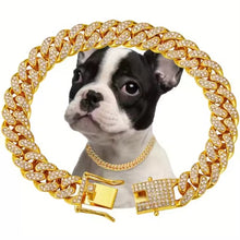 Luxury Alloy Dog Chain Sparkling  Metal Chain