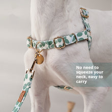 Chest Strap Explosion-proof Outdoor Pet Hand Holding Rope