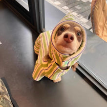 Pet Dog Autumn And Winter Vest Keep Warm