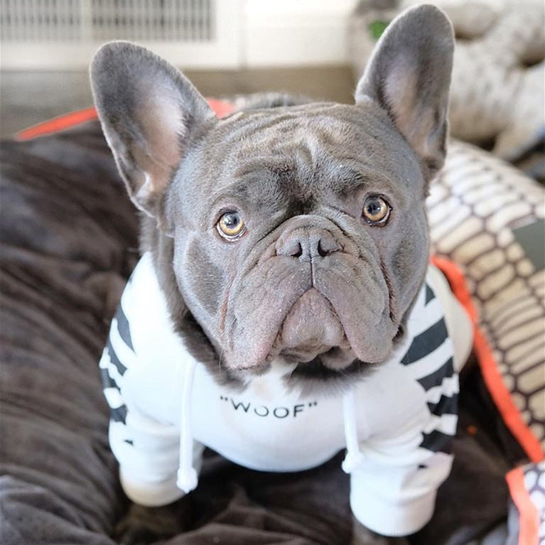 DoggFatherz.Co Three Stripe Street Dog Sweater