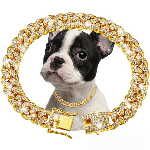 Pet Diamond Collar Cuban Link  Necklace