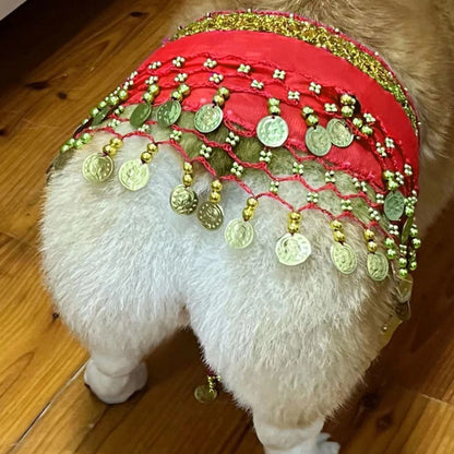 Belly Dance Fart Chain Sequined Waist Chain