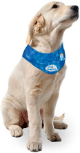 Chill Out Blue Neck Cooler Cooling Bandana for Large Pets