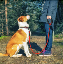 Reflective Dog Leash Nylon Pet Dog Rope