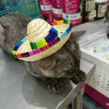 Woven Mini Pet Dog Straw Hat