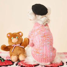 Autumn And Winter Female Dog Colorized Sweater